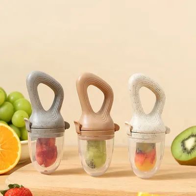 Fruit Pacifier Feeder