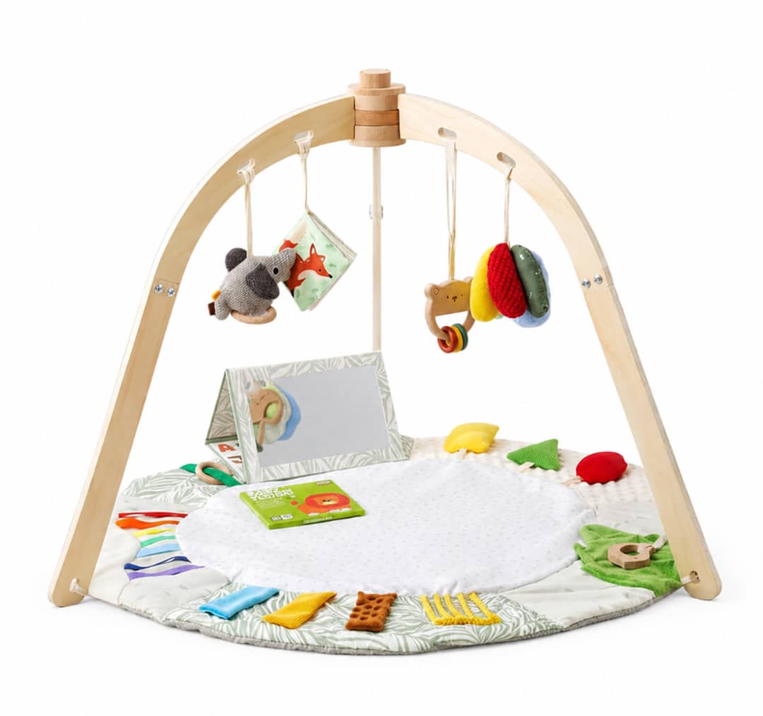 Advanced Baby Play Gym